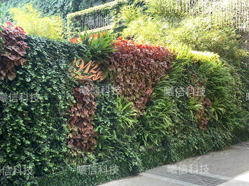 绿化墙植物墙厂家定制